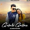 About Gulabi Gallan (Slowed Reverb) Song